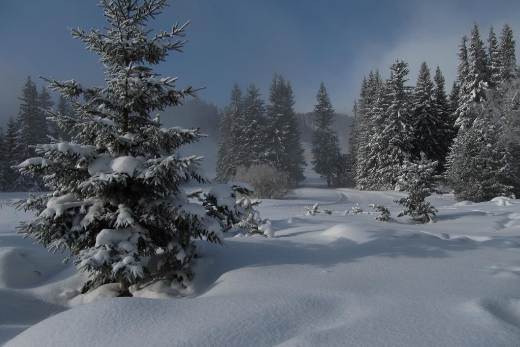 Apartman Strbske Pleso - Crocus 219 Luaran gambar