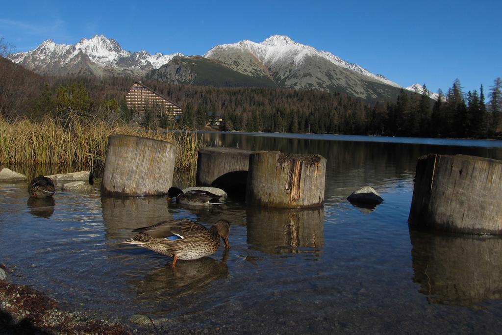 Apartman Strbske Pleso - Crocus 219 Bilik gambar